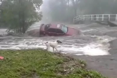 Mirá como la inundación en Córdoba se 'devora' este auto