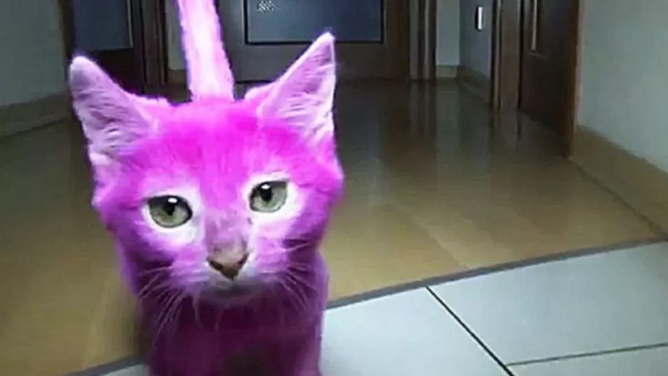 IMAGEN TOMADA DE TWITTER.COM