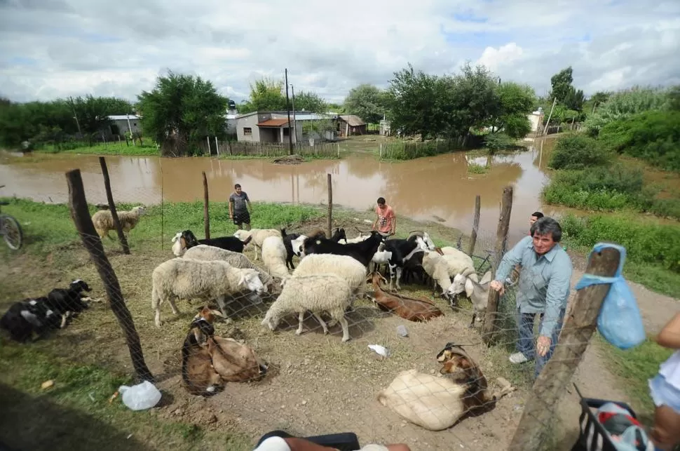 ACORRALADOS. Numerosas familias de la comuna de La Madrid tuvieron que ser evacuadas en lanchas. Los que no se fueron, quedaron aislados. credito