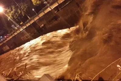 La deforestación, en el ojo de la tormenta