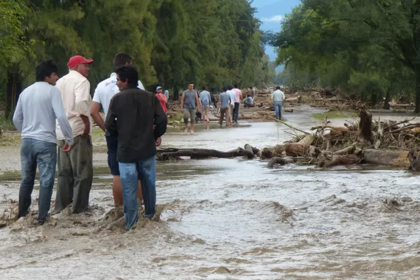 La Universidad enviará rescatistas, veterinarios y médicos a las zonas de desastre