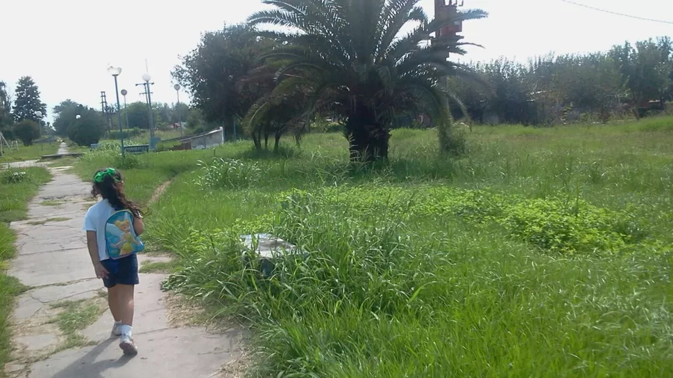 LIMPIEZA. Los pastizales y las alimañas se apoderaron de los juegos para niños. FOTO ENVIADA POR UN LECTOR