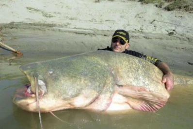 Increíble: mirá la sorpresa con la que se encontraron estos pescadores italianos