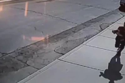 Video: dos niños evitaron que rapten a su hermano