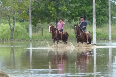 En Monteagudo, la lluvia se tragó las cosechas y los animales
