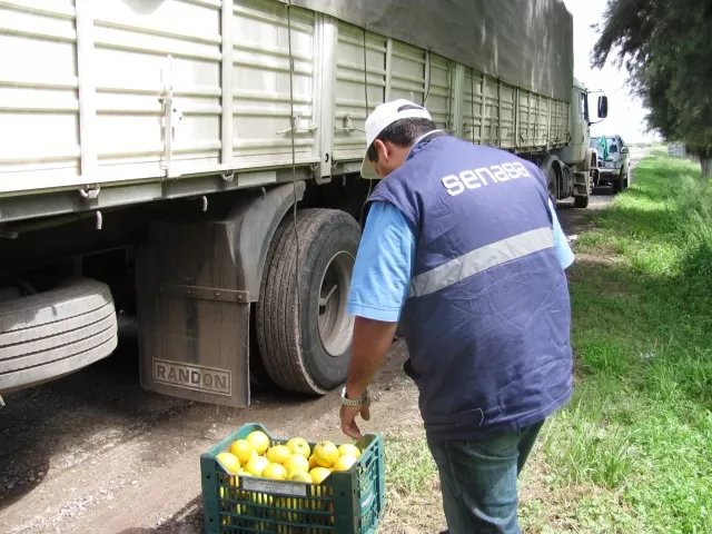 CONTROL TOTAL. Los técnicos del Senasa incautaron toda la mercadería.   