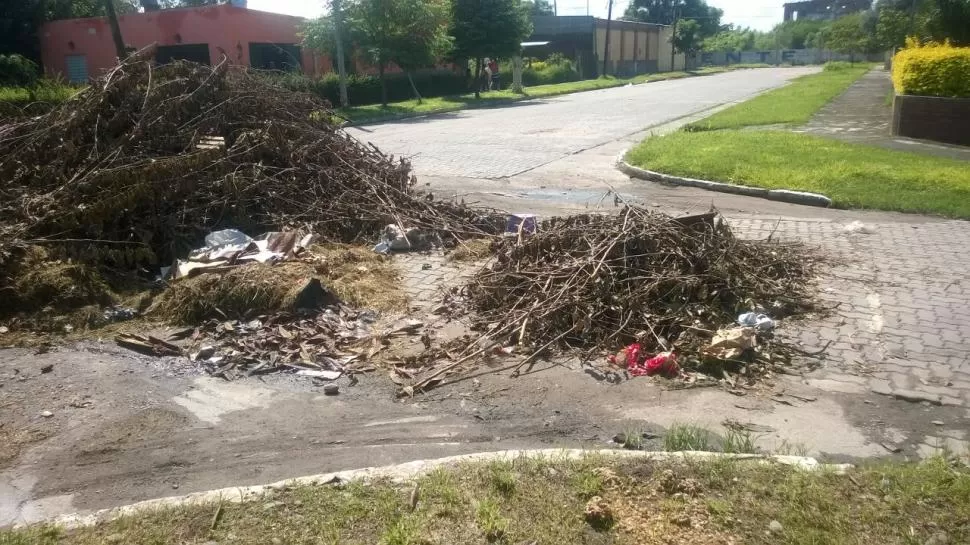 Convirtieron una esquina de Lastenia en un enorme basural