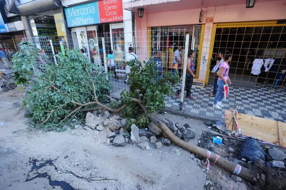 DEL PASADO. En Maipú al 100 hallaron durmientes de las vías del tranvía.