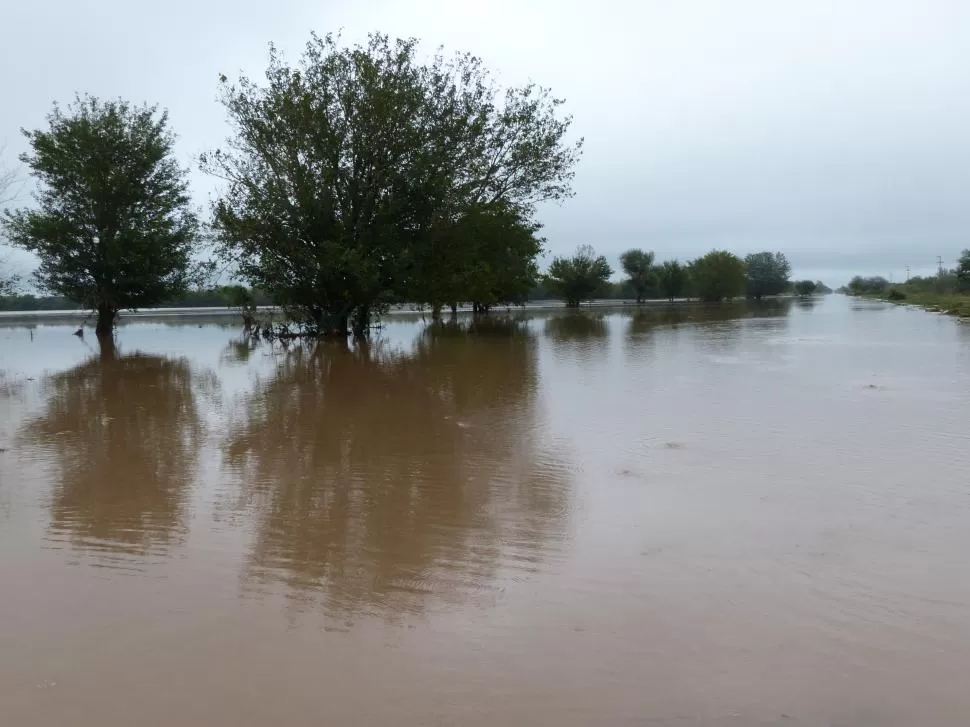 CAMPOS INUNDADOS. Además de las lluvias, influyen en la erosión las sequías prolongadas y el desmonte. la gaceta / foto de osvaldo ripoll