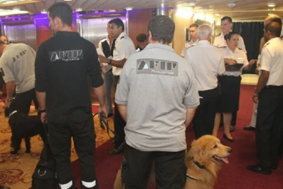 Secuestran más de 15 kilos de cocaína en un crucero de lujo en Puerto Madero