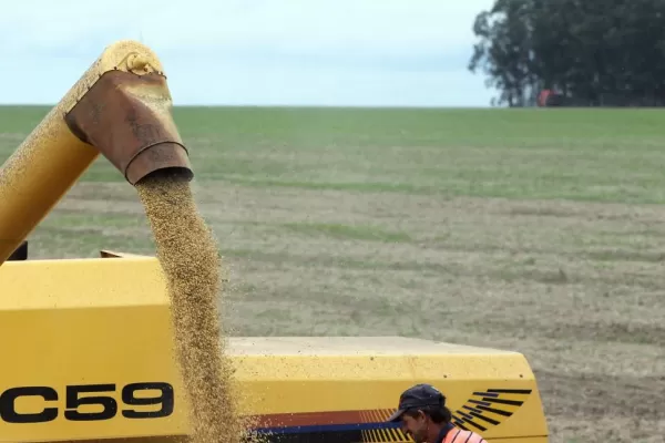 Aseguran que es exigua la devolución de retenciones