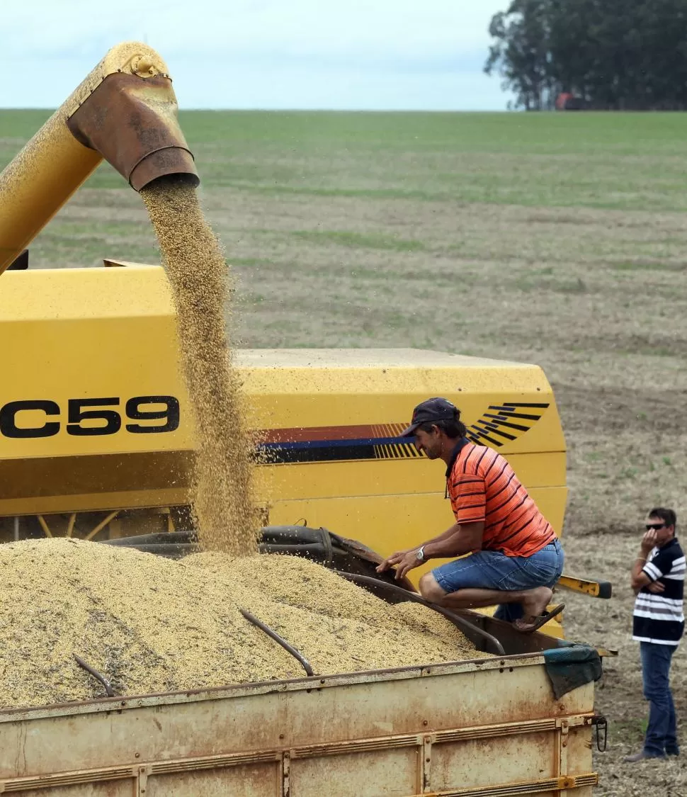 DEJADOS DE LADO. El beneficio no alcanza a los grandes productores. 