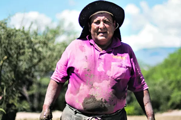 “Trabajar y hacer ladrillos; es lo único que sé”