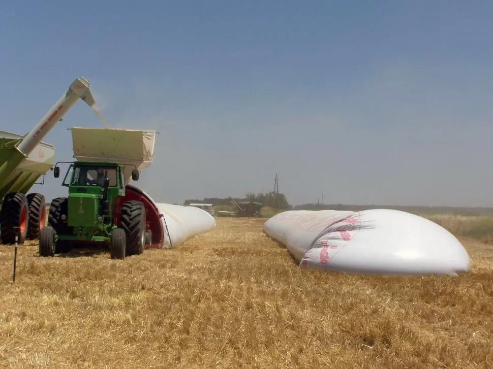 PRODUCCIÓN SOJERA. Los pronósticos para la actual cosecha 2014/15 están en un rango de 58 millones a 60 millones de toneladas. nta.gob.ar/