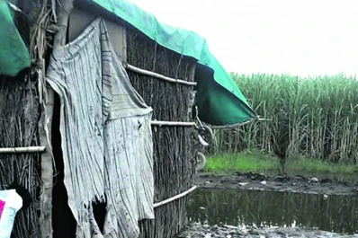 Una embarazada y sus dos hijos pequeños viven entre el barro y la caña