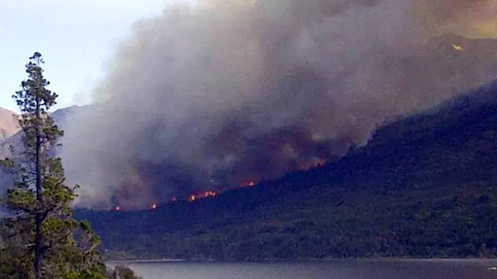 FUEGO. El incendio afectó a un sector de monte de coihue y de maitenes, pero no a los alerces milenarios. DYN