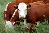 En Malabrigo dictan asistencia técnica ganadera y se preparan para crecer