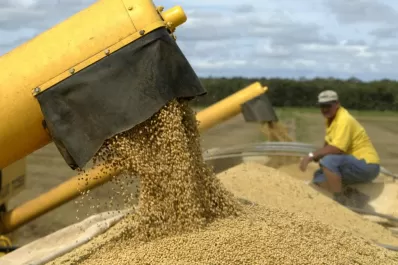 Semilleros apoyan el cobro del “canon tecnológico”