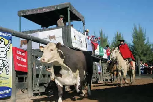 TUCUMÁN Y EL NOA. Los remates en San Vicente son una tradición.  