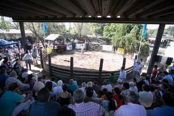 “Si no existe una política ganadera adecuada, no invertiremos y perderemos mano de obra”