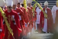 El Papa reza por las víctimas de Germanwings en la misa del Domingo de Ramos
