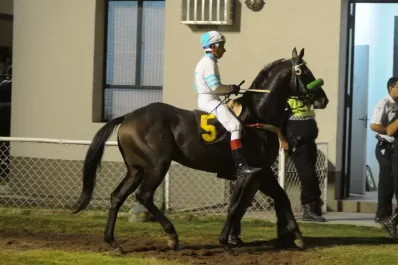 Todo Power vuelve con todo