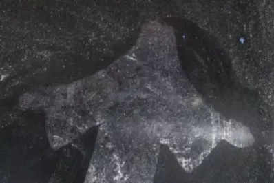 ¿Un Cristo en la luneta de un auto?