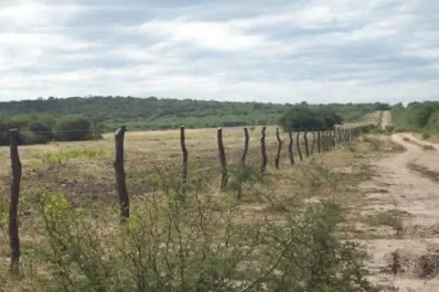 Agricultura gestiona un plan de desarrollo productivo para Santiago del Estero