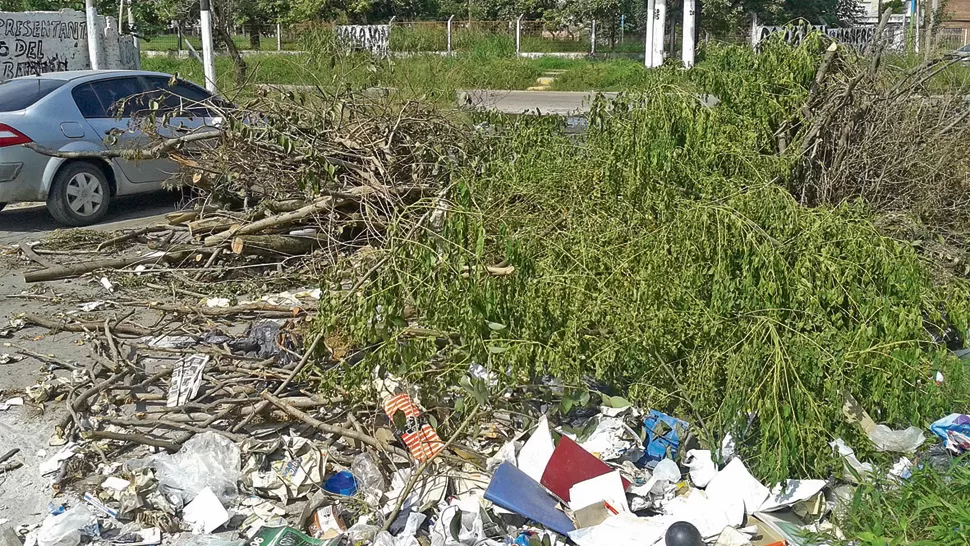 El basural de Félix de Olazábal e Italia obstruye la calle