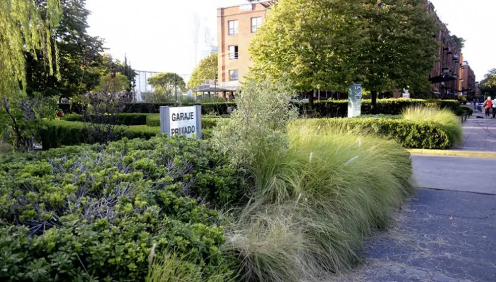AQUÍ MURIÓ LA JOVEN. DYN