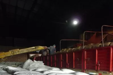 La crisis azucarera es responsabilidad del sector