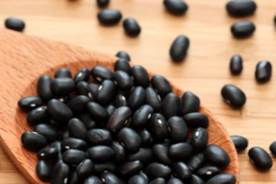 La “mustia hilachosa” amenaza el futuro del poroto negro local