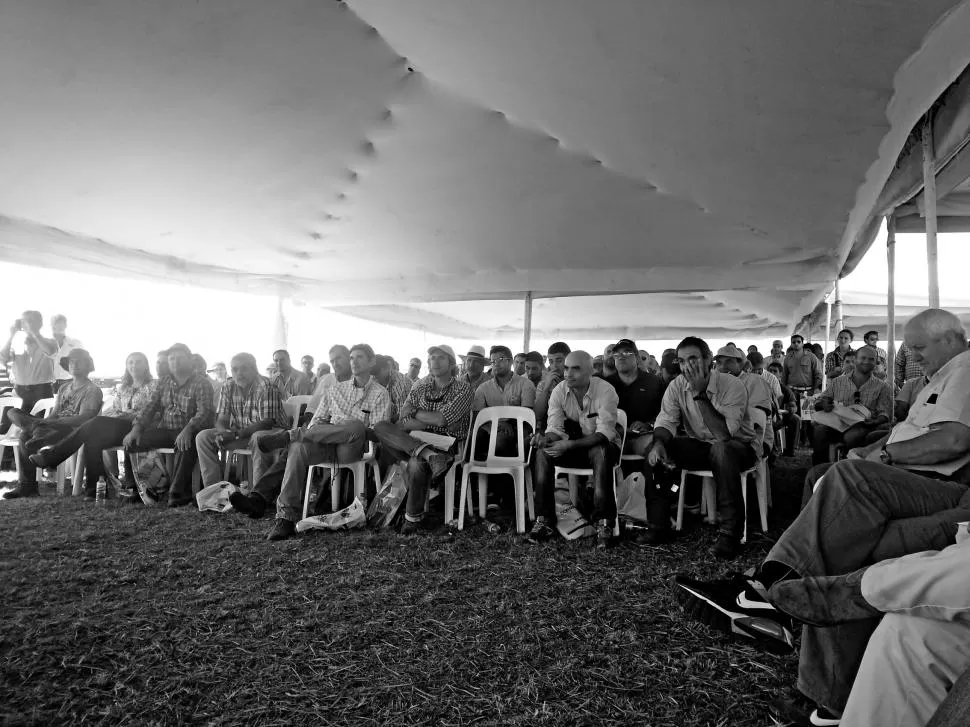 INTERÉS PROFESIONAL. Técnicos y productores se reunieron en Overo Pozo. 