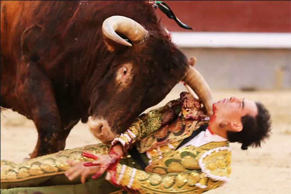 Torero recibe una terrible cornada en pleno acto