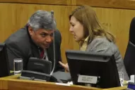 Legislatura: los amayistas se fueron del bloque Tucumán Crece