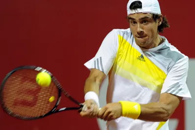 Pella no estará en Wimbledon y Mayer perdió en cuartos