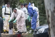 Se reanudaron las tareas de búsqueda de los restos de Marita Verón