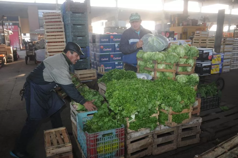 EL CONSUMO INTERNO BAJO LA LUPA. Sólo en el Mercofrut hay algún tipo de control de las frutas y verduras que se cultivan en el campo tucumano. la gaceta / foto de antonio ferroni