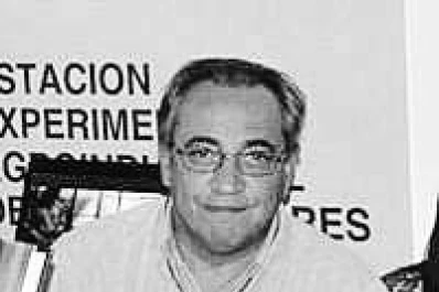 Hay escasas posibilidades de que mejore el mercado maicero