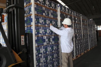 La competitividad del limón es fundamental