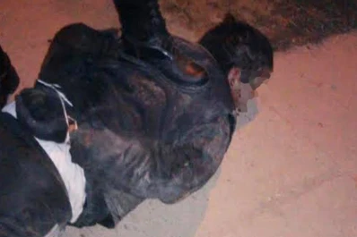 Robó en una parada, fue atrapado y lo golpearon