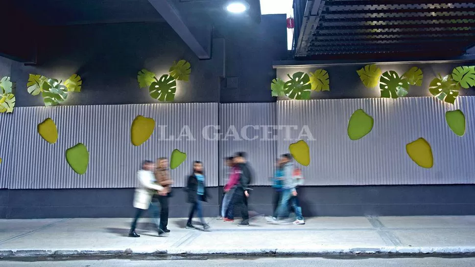 COLORIDO. De día, el color verde de las hojas de “costilla de Adán” alegra el paso debajo del puente; de noche, la luz toma el protagonismo. LA GACETA / FOTO DE DIEGO ARÁOZ