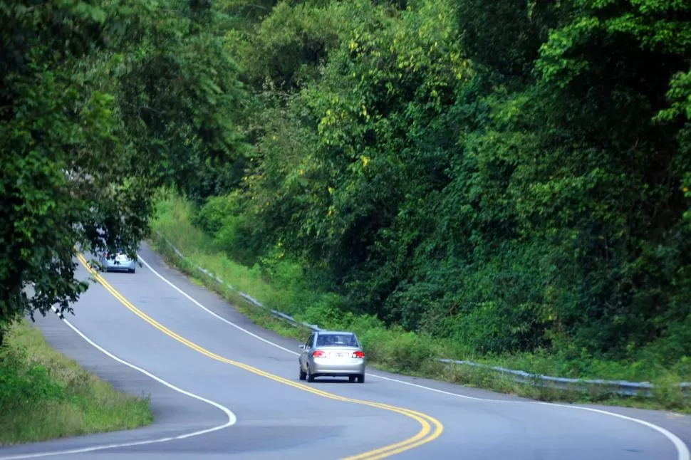 ----------------------------------