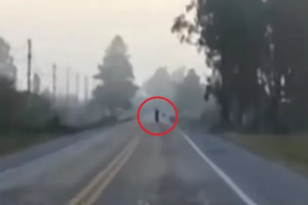 Motociclista pone en riesgo su vida en plena Ruta 38