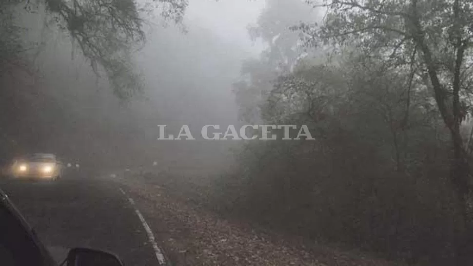 LA GACETA 