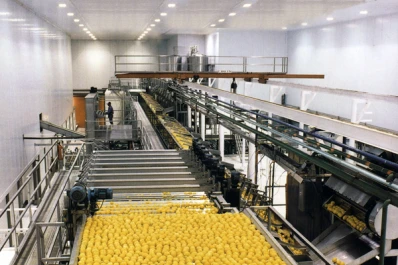 El “clúster limón” de Tucumán nutre de divisas al Tesoro de la Argentina