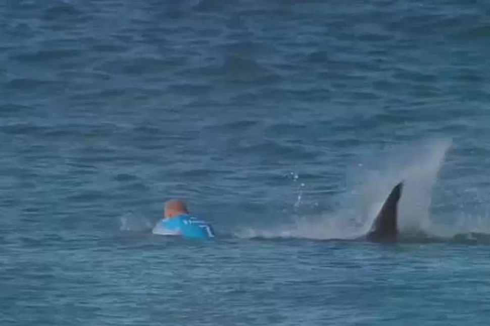 En plena competencia, casi se lo come un tiburón