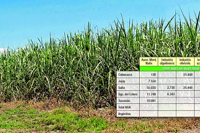 “Es el siglo de la biología y la bioeconomía”