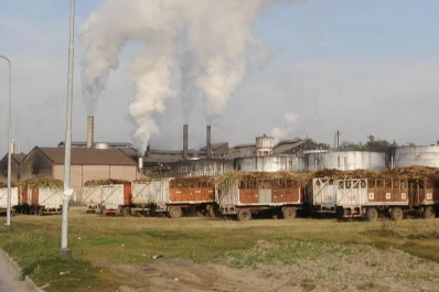 Buscan acordar un precio interno para el azúcar