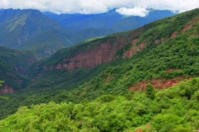 Abrirán un Centro de Interpretación e Información Turística en el Parque Nacional Calilegua